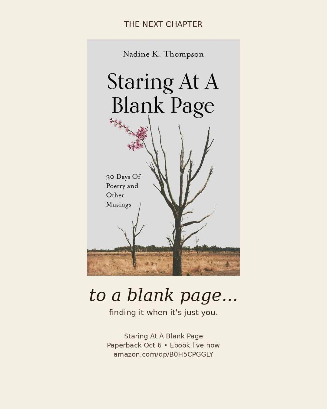 Companion promotional visual for Staring At A Blank Page.